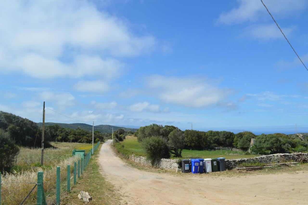 Casa Maltinu Βίλα Santa Teresa Gallura Εξωτερικό φωτογραφία