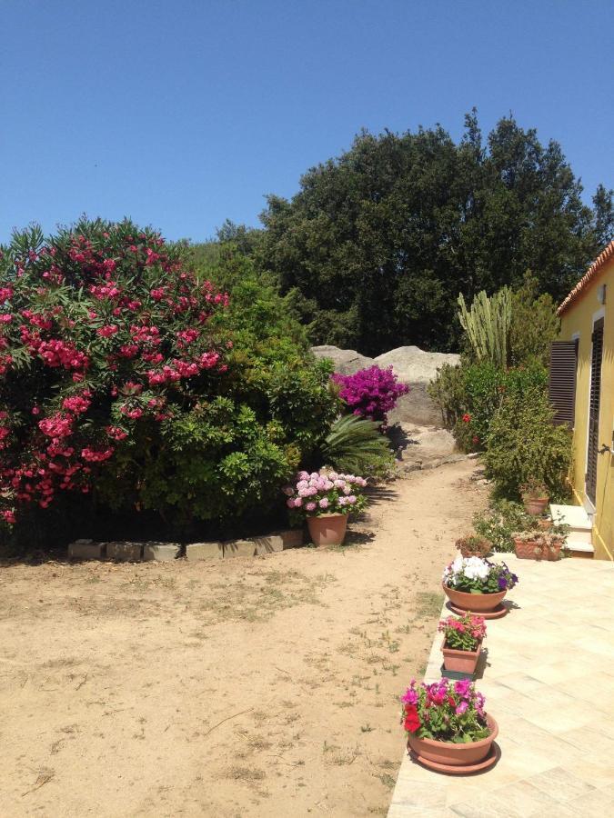 Casa Maltinu Βίλα Santa Teresa Gallura Εξωτερικό φωτογραφία
