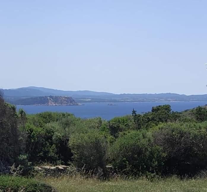Casa Maltinu Βίλα Santa Teresa Gallura Εξωτερικό φωτογραφία